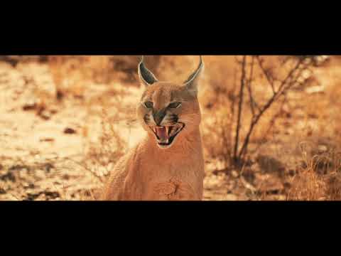 Namibia 4k #2019