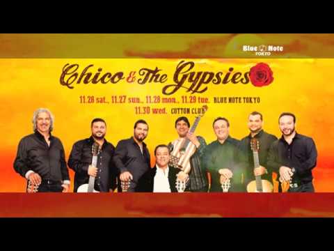 CHICO & THE GYPSIES : BLUE NOTE TOKYO 2016 trailer 3