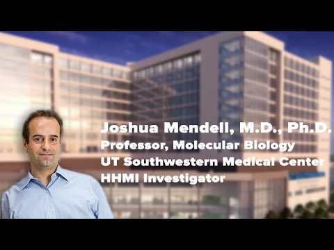 Regulation and Function of Non-coding RNAs - Joshua Mendell, MD, PhD