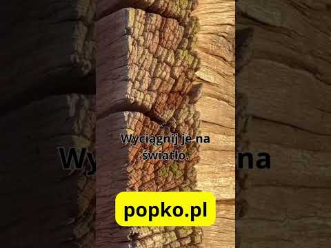 [Encyklopedia Wiedzy Duchowej] Często chowamy głęboko te części nas, które wydają nam się „niepasujące” lub stare. Zapomniane pasje