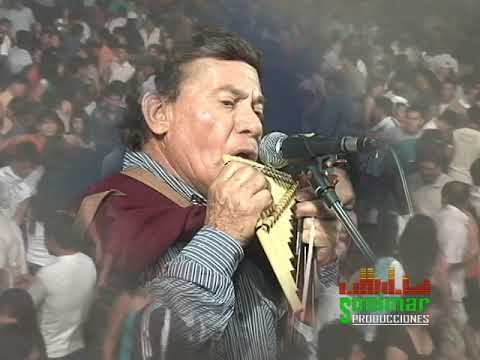 LOS REALES DE CAJAMARCA - MIX NO ES VIDA SIN TI