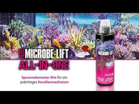 Komplettversorgung für deine Korallen - 𝗠𝗜𝗖𝗥𝗢𝗕𝗘-𝗟𝗜𝗙𝗧 𝗔𝗹𝗹-𝗶𝗻-𝗢𝗻𝗲 - erklärt