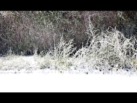 Snow in July? FDNY introduces 3 new brush fire units