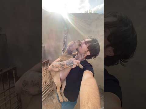 FOI SEM QUERER!🥺 #shortsfeed #youtubeshorts #vlog #foryou