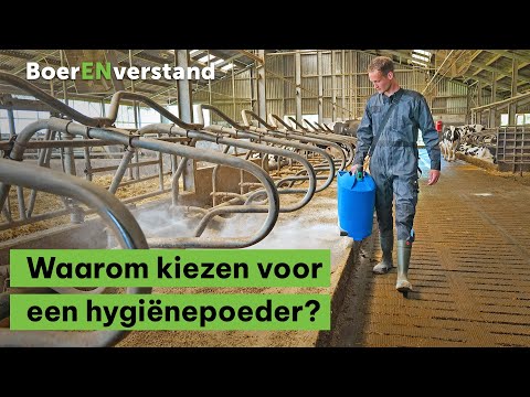 , title : 'Waarom kiezen voor een hygiënepoeder? - BoerENverstand'