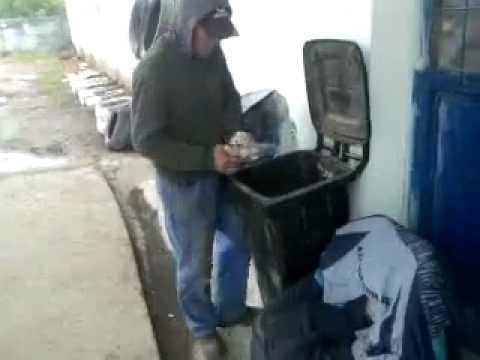 MARIUS BOSCHETARU DIN RUPEA GARA