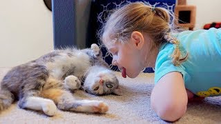 Is This Cute Homeless Kitten Family Friendly?