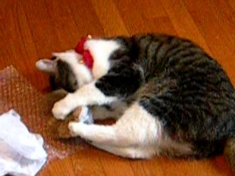 Saru-Chan's Catnip Ball