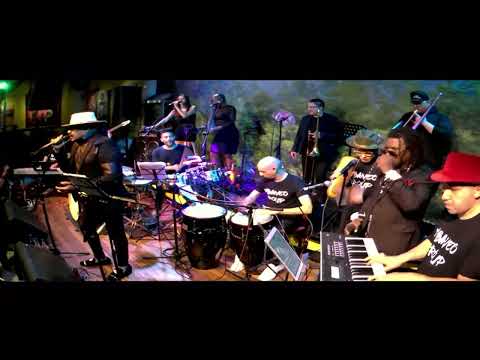 Pedrito Calvo y Mayito Rivera El Gran Mano a Mano | En Concierto HD | Galería Café Libro