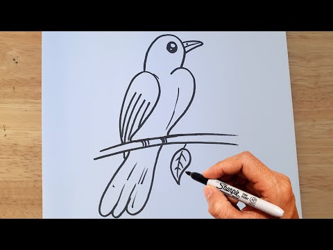 How To Draw A Bird With Numbers 22 Step By Step