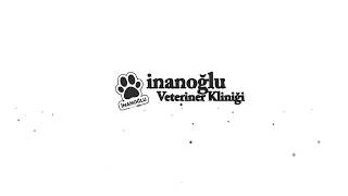 İnanoğlu Veteriner Kliniği