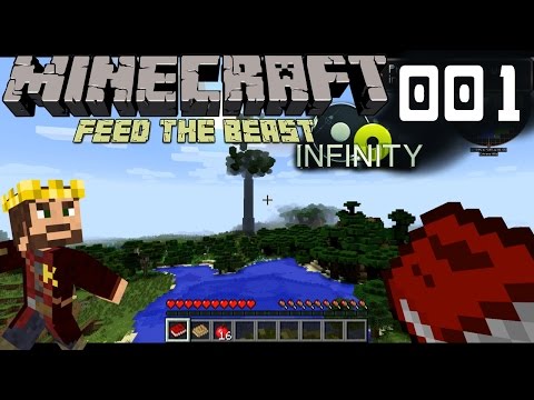 Minecraft FTB Infinity Evolved #001 - Eine neue Herausforderung [Let's Play]