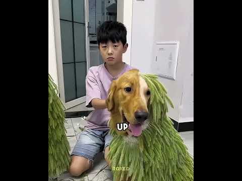 Leaf Suits For Mom and Dog 😂