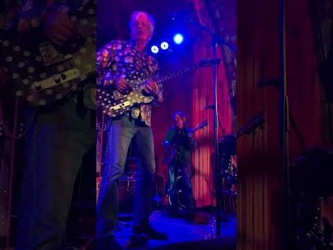 Robyn Hitchcock- See Emily Play- LIVE