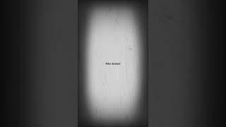 Download lagu STORY WA LAGU BANYUWANGI (TAU TATU) mp3