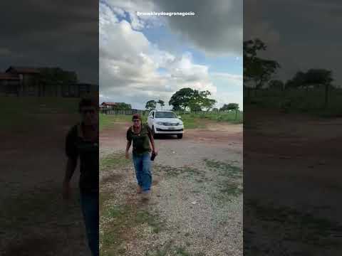 Fazenda a localizada no município de mara rosa Goiás, são 350 Alqueires , Dupla aptidão.