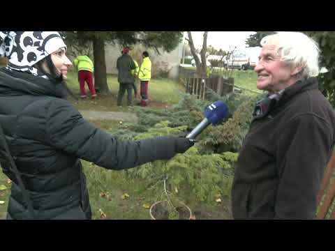 Vánoční strom Přerov 2023