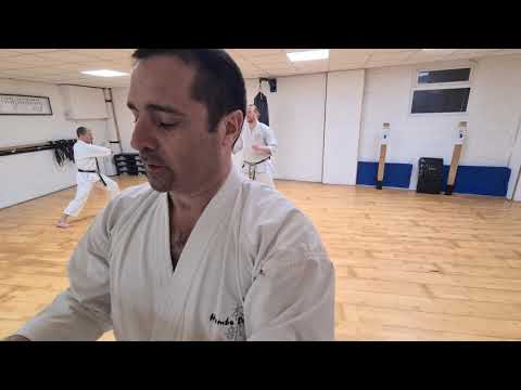 HDKI Headquarter Training - Special Tekki Shodan