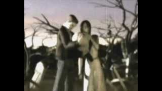 The Butterfly Effect - Without Wings