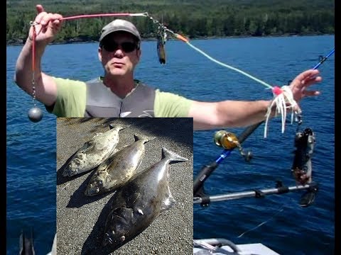 Halibut fishing — Strait of Juan de Fuca