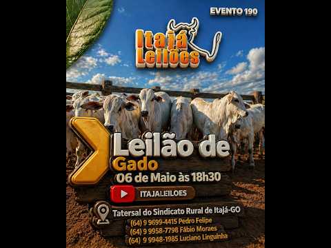 LEILAO DE GADO DA ITAJÁ LEILÔES