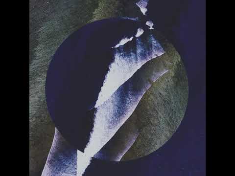 Mild Minds - VIEWS (Visualizer)