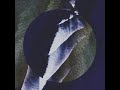 Mild Minds - VIEWS (Visualizer)