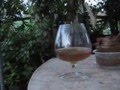 2008 9 9 Happy Hour With ME 002