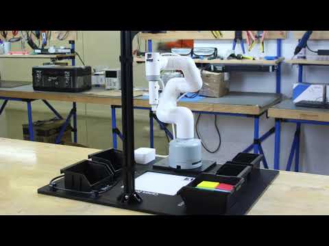 AI Vision Kit with MechArm Demo