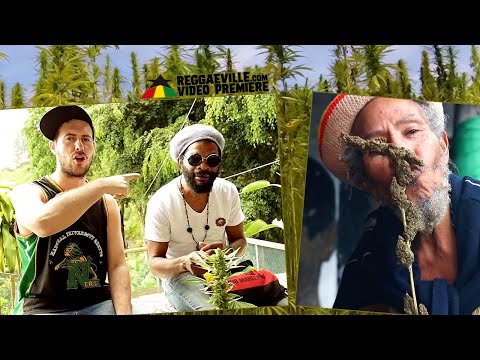 Colah Colah & Peace Development Crew - Gimme Di CBD [Official Video 2021]