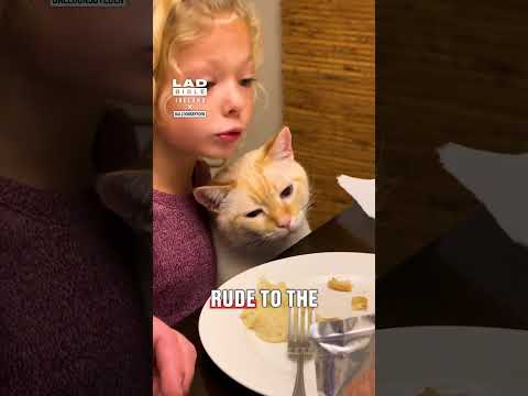 Kid defends her cat 👀😍