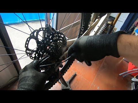 Setting up your Shimano 12 Speed - Tech Tuesday Episode 4