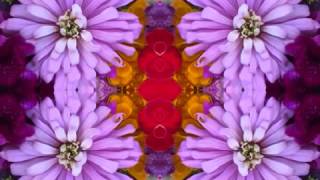 Honest I Do (by Rick Danko with Gene Clark and Friends live in Indiana '85)