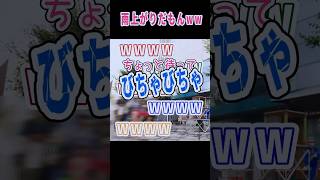 勢いでスクショサービスした終末アイドルww　 #shorts #健山 #大道芸 #entertainment #北海道