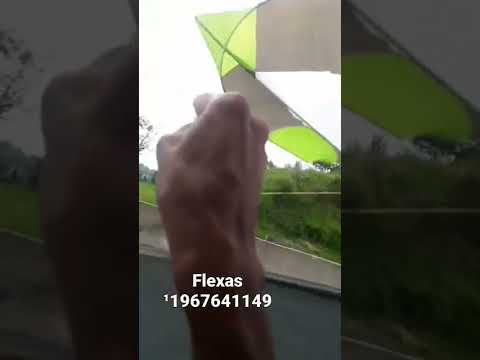 Soltando Pipa na viagem toda literalmente kkk