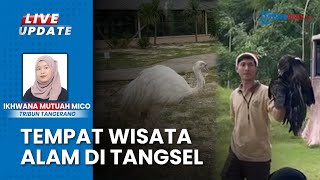 Pesona Aviary Park Indonesia, Suguhkan Pemandangan Alam, Berkonsep Ramah Satwa dan Edukasi