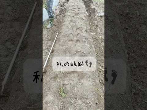 庭をどのように計画するか？豊かな菜園を作るために重要なステップは何ですか?  庭園