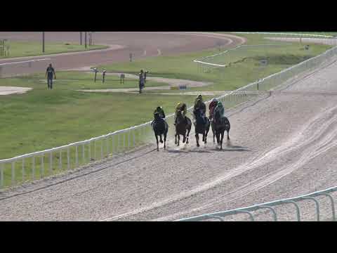 2019.08.04. 04. futam - NYÁRI HENDIKEP (I.o.) (szintetikus pálya)