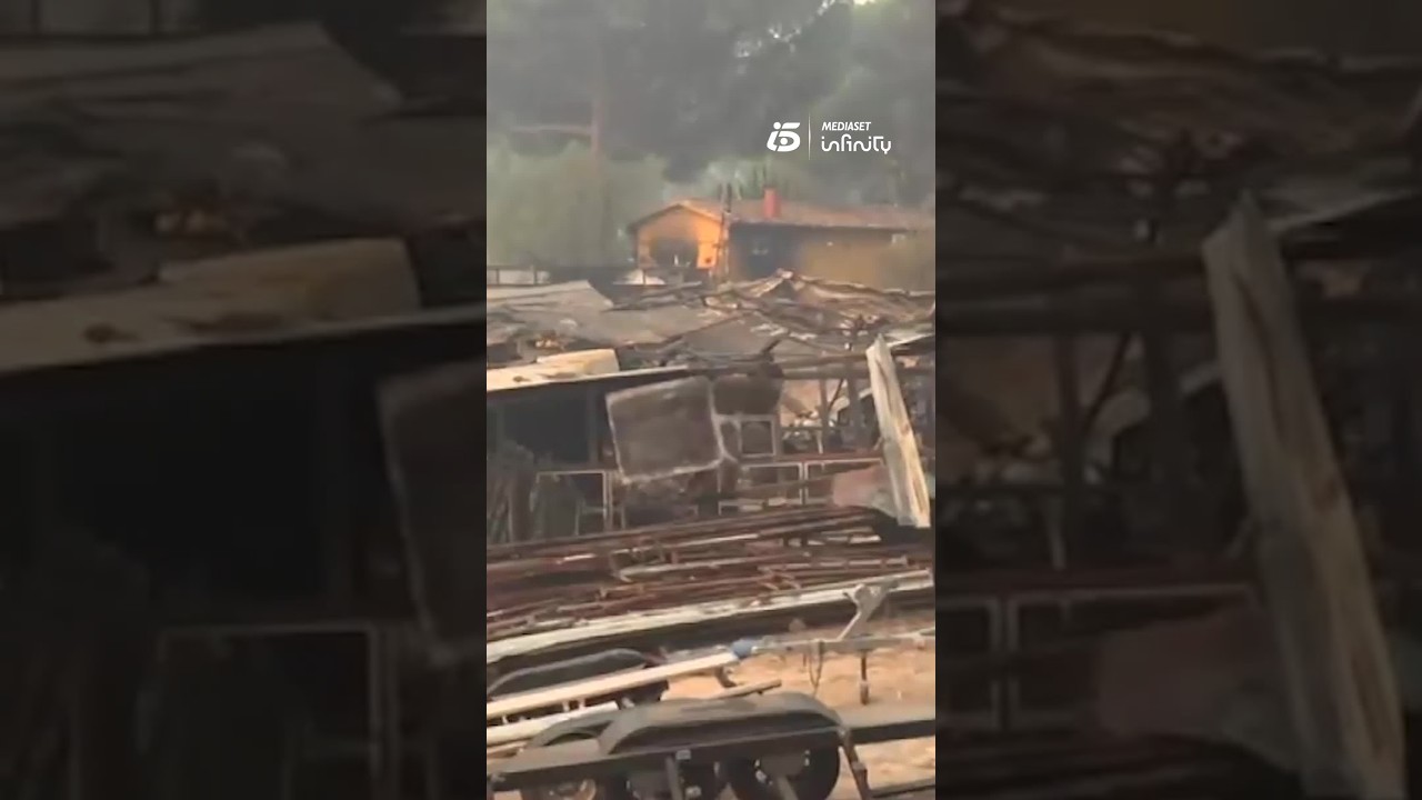 Negocios y casas del entorno del pantano de San Juan, en Madrid, arrasados por el fuego
