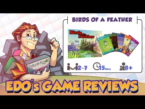 Edo's Birds of a Feather Review