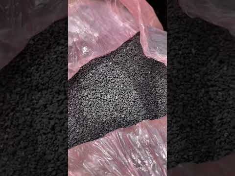 Phục hồi bộ rễ cho cây sau mưa