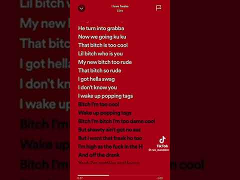 I LOVE FREAKS lijay lyrics