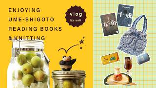 読書vlog║ミステリーを読みふける／ 読書と編み物でのんびり過ごす日 ／ 梅シロップ＆梅ダージリン ／ 夕木春央『方舟』 『十戒』  ／ かぎ針編みバッグ