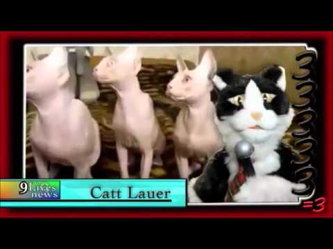 CATT LAUER - RAGEBONER