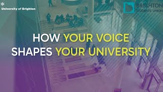 How Your Voice Shapes Your University | University of Brighton