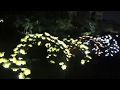 2018台中花博豐原夜景河邊夜間led花燈181205