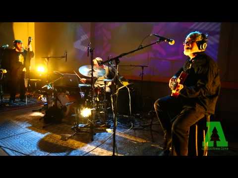 Fareed Haque's MathGames! - Trance Hypothesis - Audiotree Live