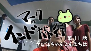 【マークのインド旅行】第11話　ケロ江ちゃんこんにちは