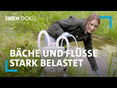 #unsere Flüsse - Wie retten wir Deutschlands Lebensadern? | SWR Doku