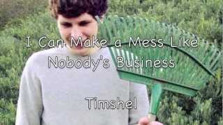 Timshel - I Can Make a Mess Like Nobody&#39;s Business (Lyrics in Description)